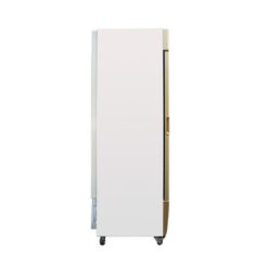 Tủ đông Alaska 400 Lít Kính đứng Ifc 45g