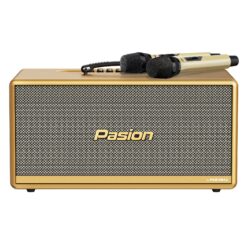 Loa Di Dong Xach Tay Pasion 2c Paramax Gold 1