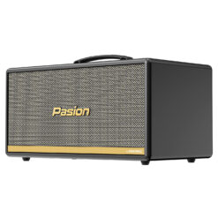 Loa Di Dong Xach Tay Pasion 2c Paramax Grey 2