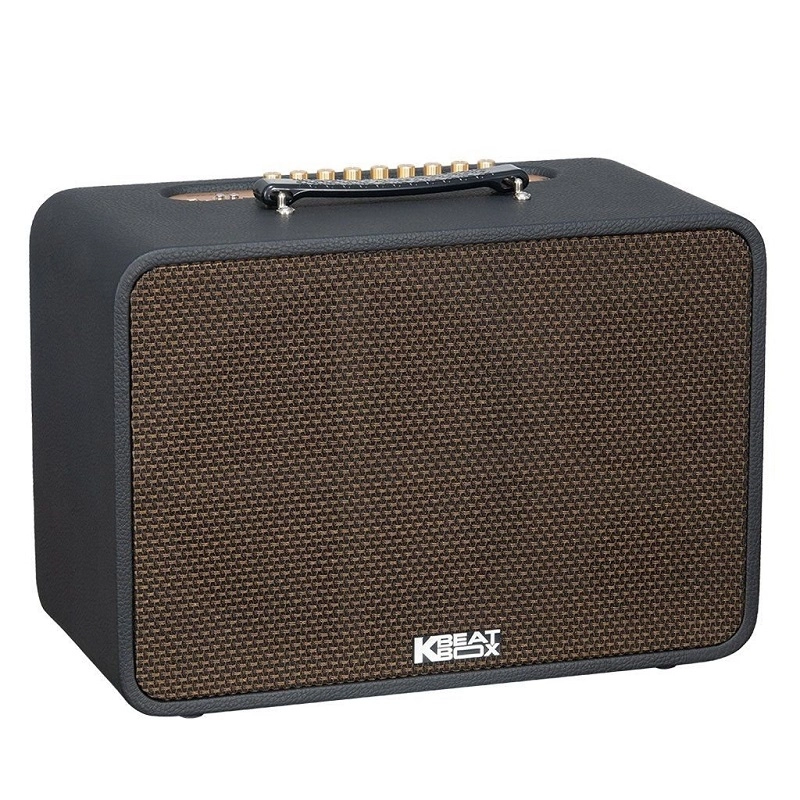 Loa Acnos Cs250pro Loa Acnos Cs250pro