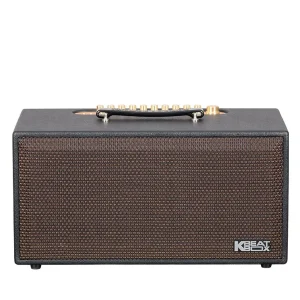 Loa Karaoke Xach Tay Acnos Cs450sr V2 4