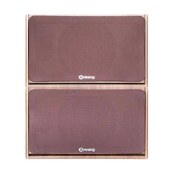 Loa Arirang Jant VIII