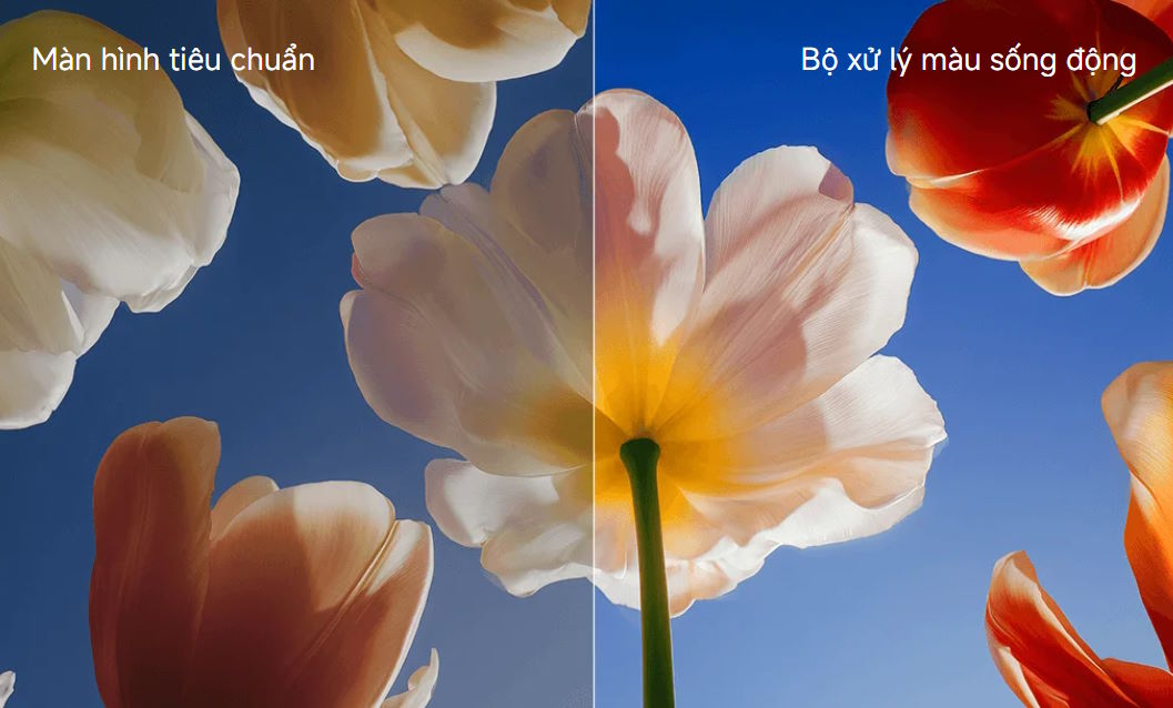 Tivi Xiaomi S Mini LED L55MC-SSEA