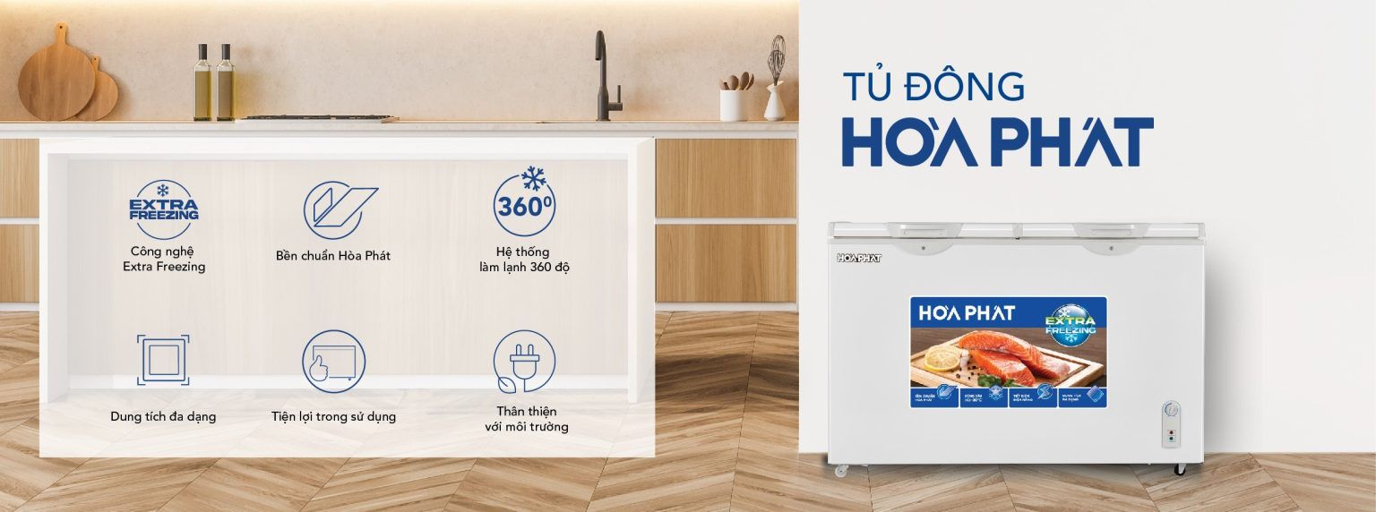 Tủ đông Hòa Phát HPF BD6240 240 lít