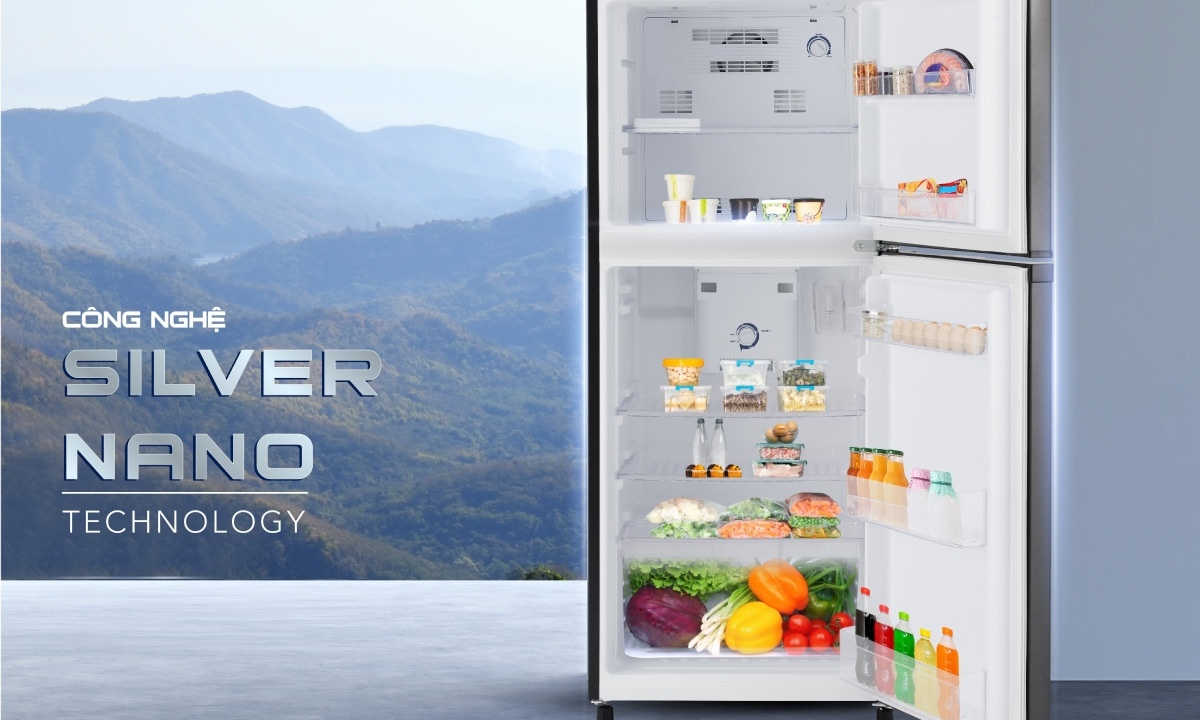 Tủ lạnh Funiki Inverter 185 lít HR T8185TDG