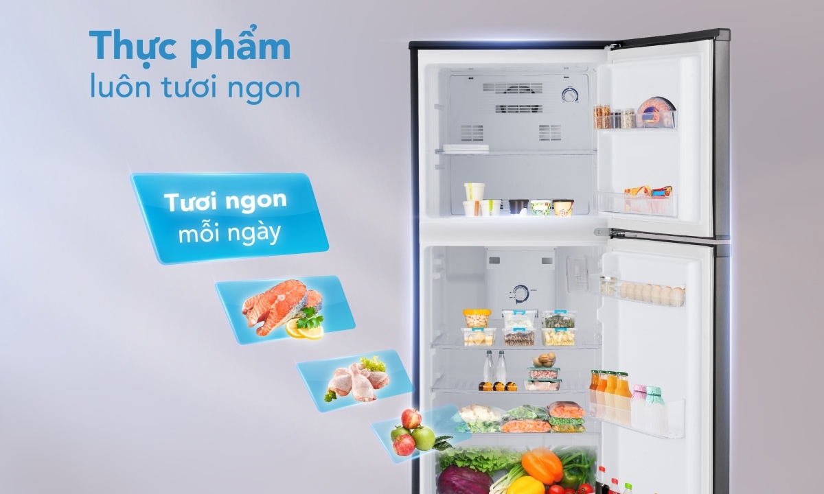 Tủ lạnh Funiki Inverter 185 lít HR T8185TDG