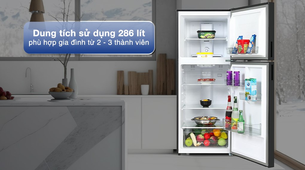 Tủ lạnh Funiki Inverter 286 lít HR T8286GB - Dung tích