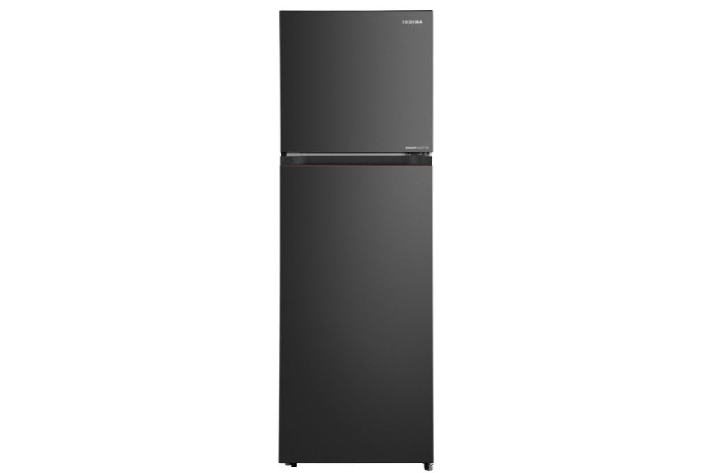 Tủ lạnh Toshiba Inverter 271 lít GR-RT349WE-PMV(68)