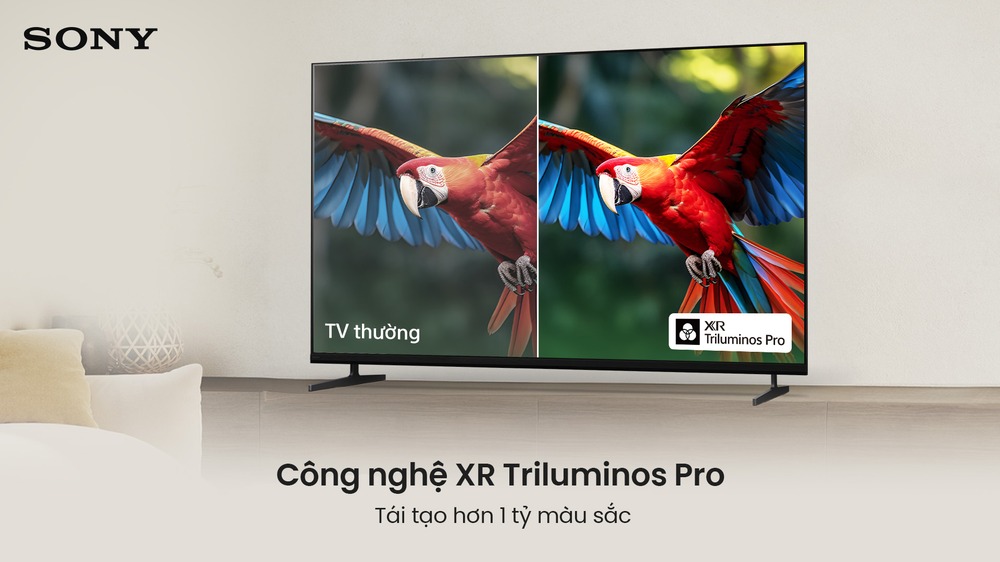 XR Triluminos Pro Sony Google Smart TV BRAVIA 3 II K-50XR30M2