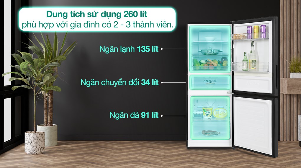 Tủ lạnh Aqua Inverter 260 lít AQR-B310MA(FB) - Dung tích