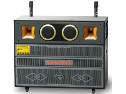 Loa kéo bình và điện bass đôi 40cm Nanomax Pro-300
