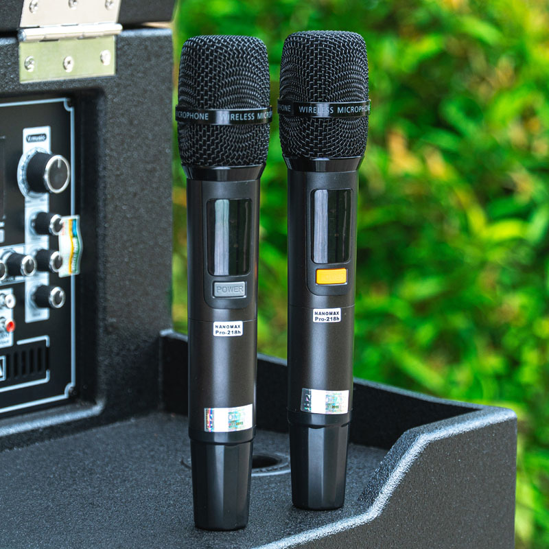Loa Kéo Nanomax Pro-218h | Hình 9