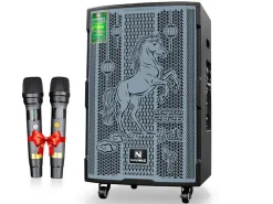 Loa kéo Nanomax Bass 40cm SK-16Q1