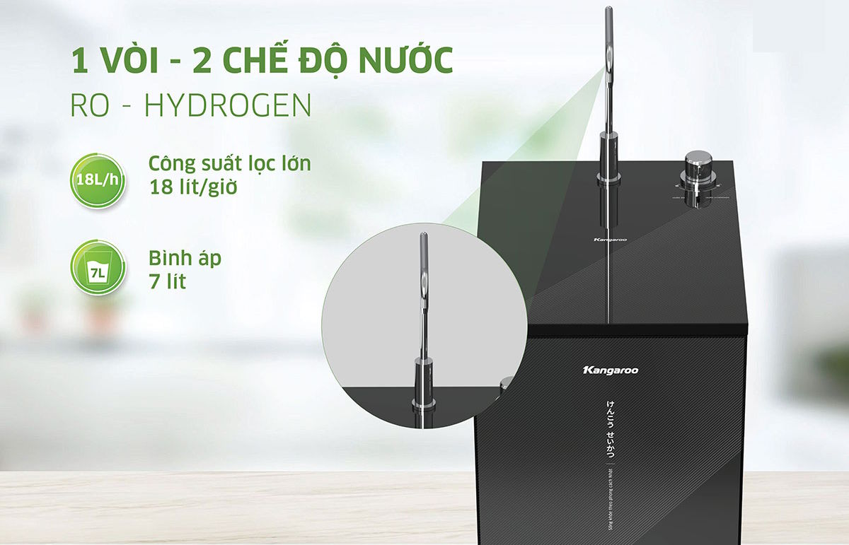 Máy lọc nước Kangaroo KG10S15H1