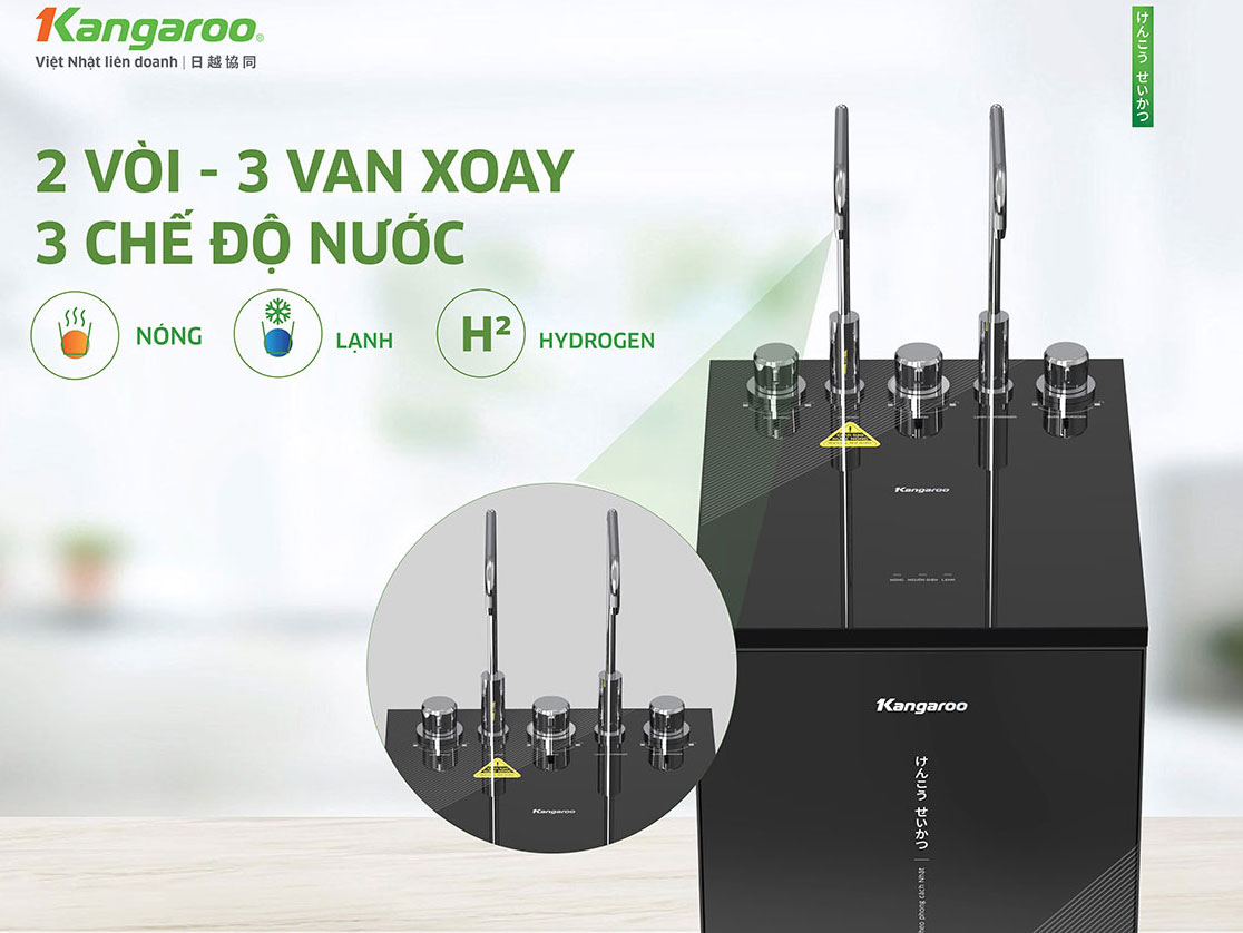 Kangaroo KG12S19H3