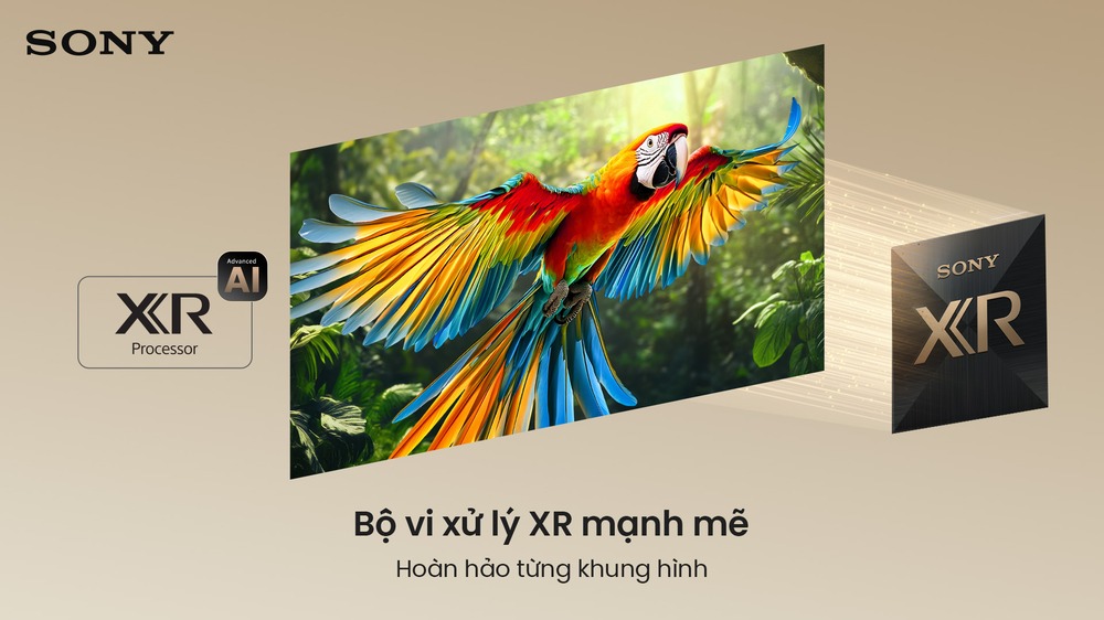 Bộ vi xử lý XR Processor Sony Google TV True RGB BRAVIA 7 II K-65XR70M2
