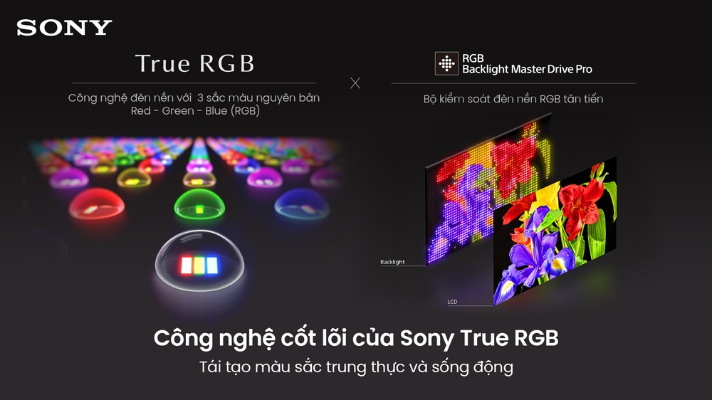 RGB Backlight Master Drive Pro Sony Google TV True RGB BRAVIA 7 II K-65XR70M2