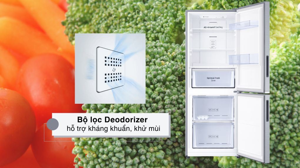 Tủ lạnh Samsung Inverter 280 lít RB27N4020S9/SV - công nghệ khử mùi